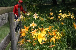 My mom outside the fence for a closer look.